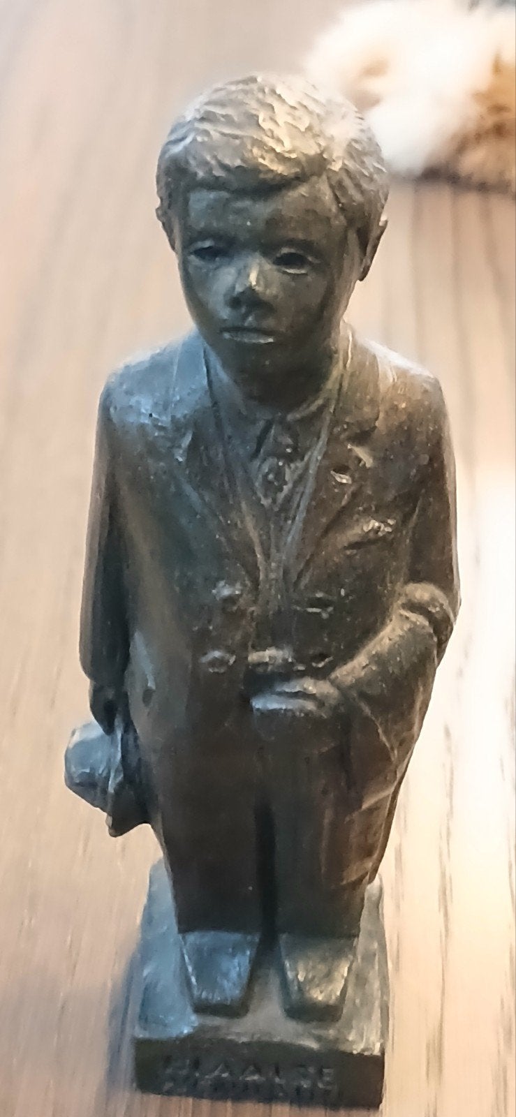 de Blaalse wendbuil., Ophalen of Verzenden, Zo goed als nieuw, Dier