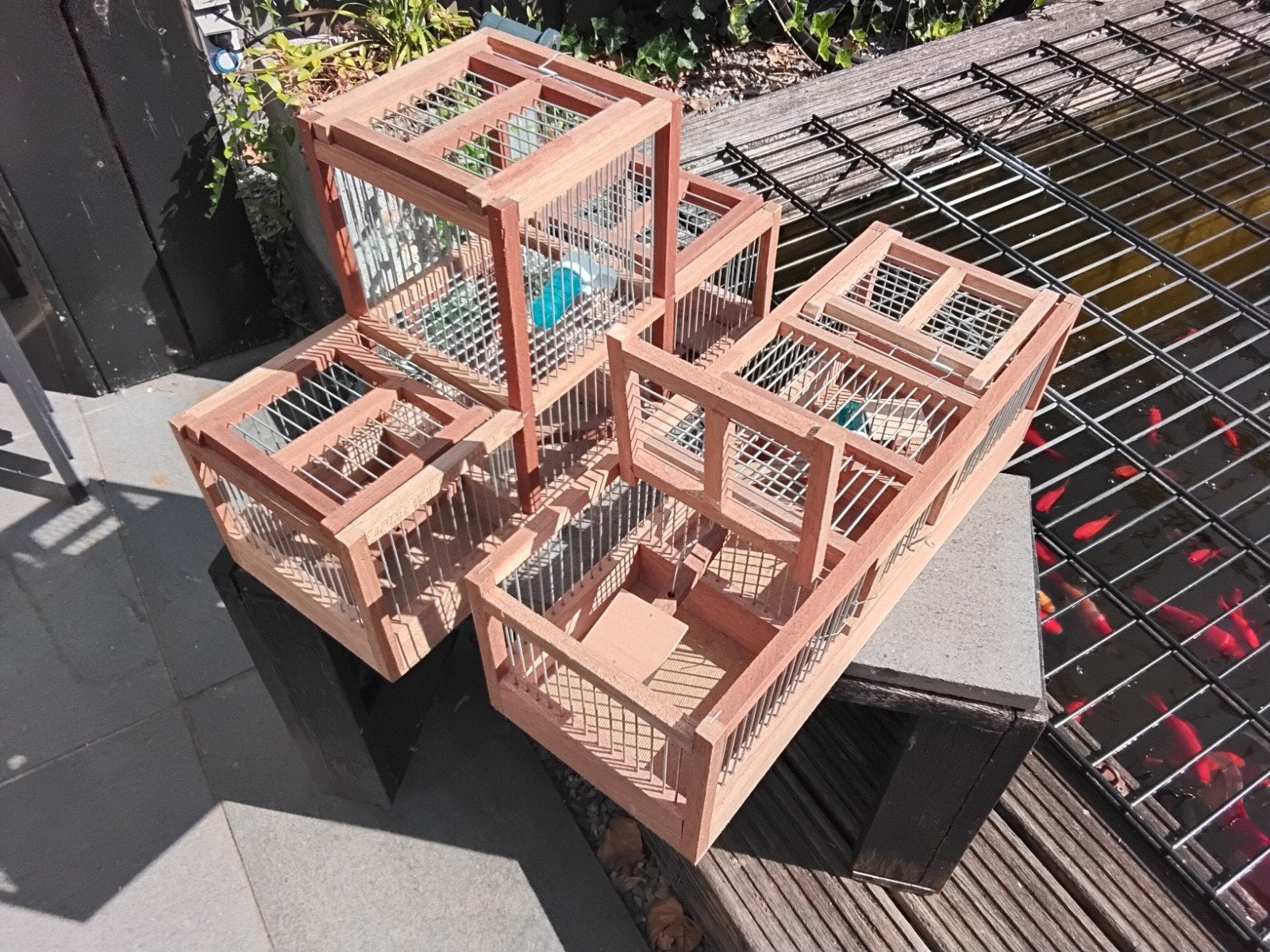 Vangkooien klepkooien voorfrontjes Vogelkooien, Ophalen of Verzenden, Nieuw, Hout, Vogelkooi