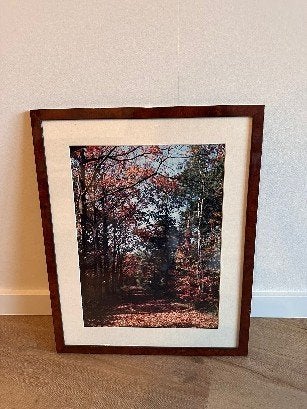 Fotolijst met herfst boslandschap, Antiek en Kunst, Ophalen, Realistisch, Landschap, Achter glas