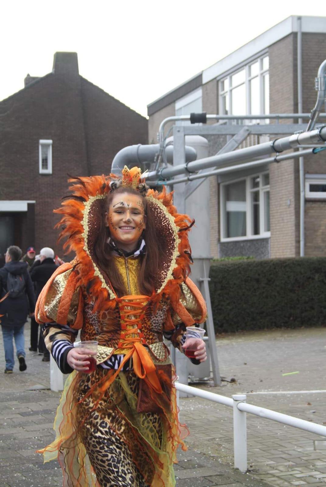 Prijswinnende kostuums voor Carnaval of feest, Ophalen, Carnaval, Maat 42/44 (L), Kleding