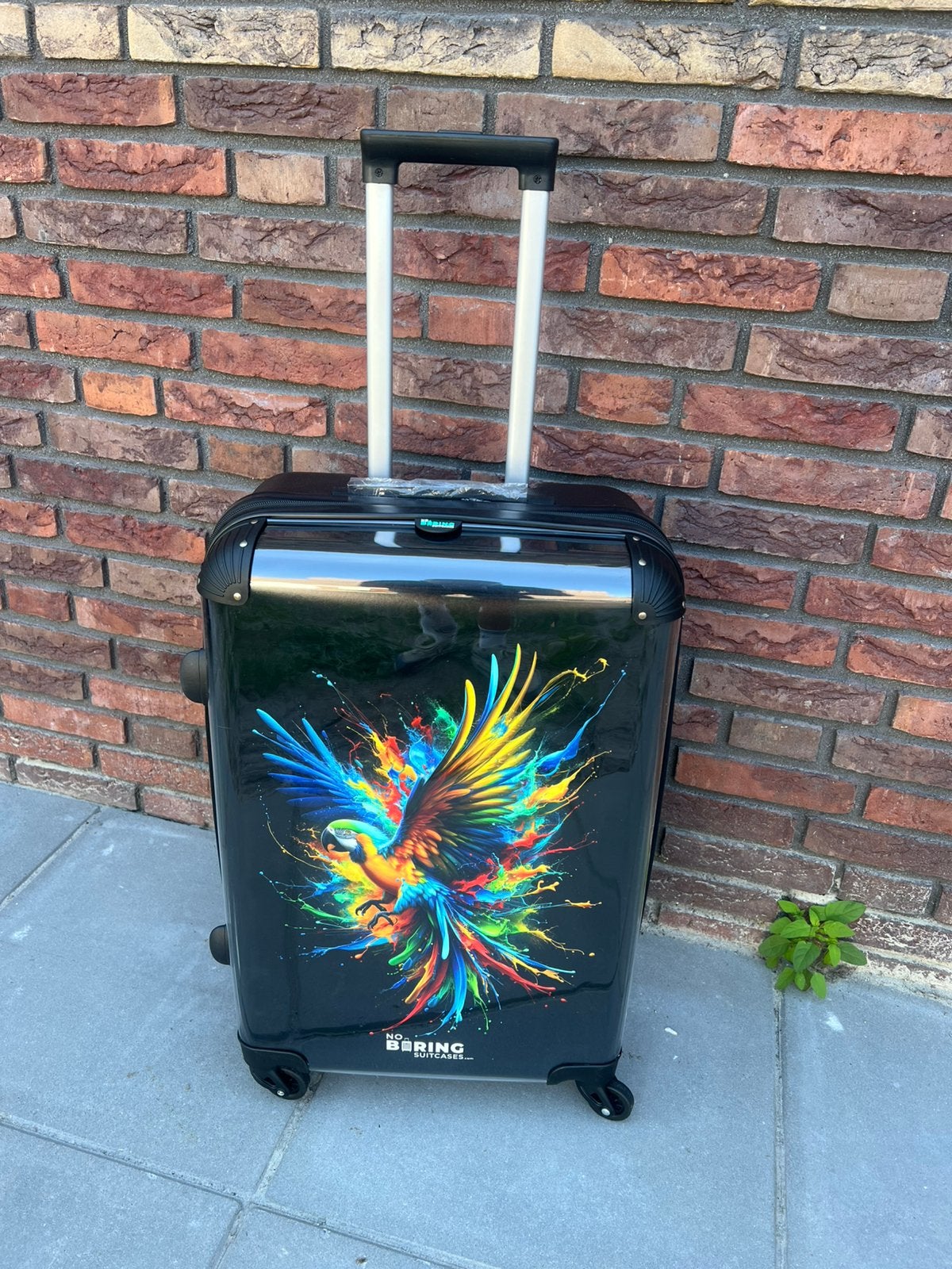 Koffer papegaai middenmodel €35, Ophalen, Zo goed als nieuw, Hard kunststof, 60 tot 70 cm