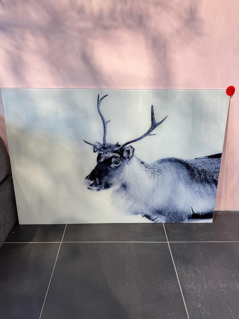 Schilderij, Minder dan 50 cm, Ophalen of Verzenden, Zo goed als nieuw, Schilderij