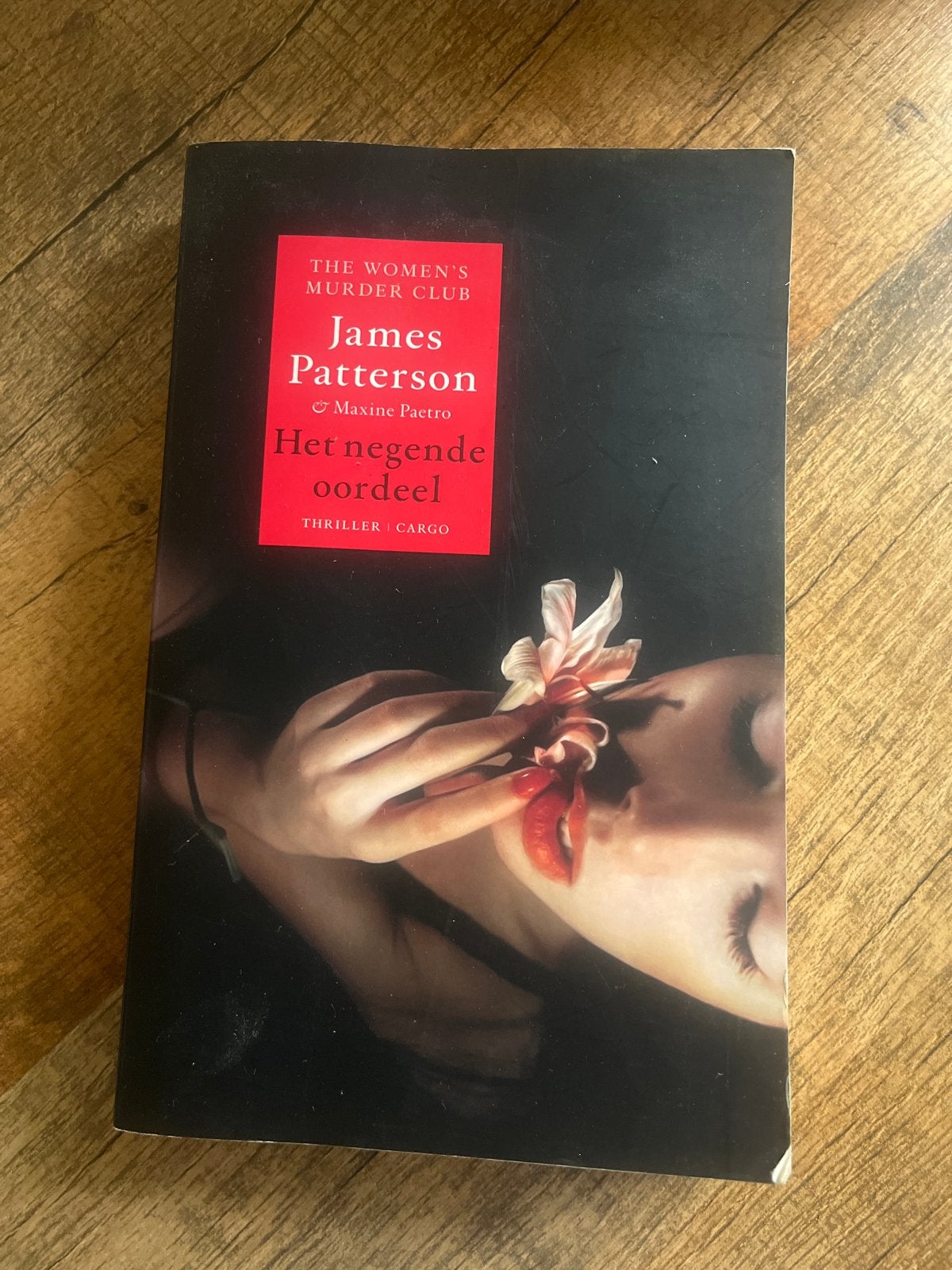 Het Negende Oordeel - James Patterson & Maxine Paetro, Boeken, Ophalen of Verzenden, Gelezen, Wereld overig
