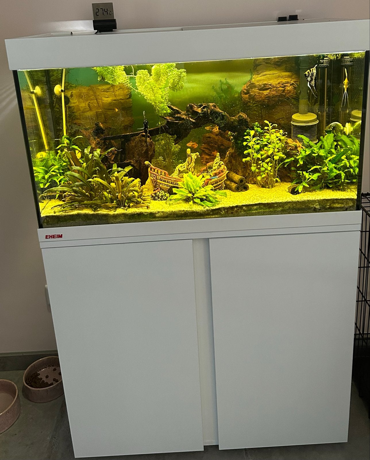 Eheim kwaliteits aquariumset (compleet) zgan, Ophalen, Inclusief vissen, Eheim, Gevuld zoetwateraquarium