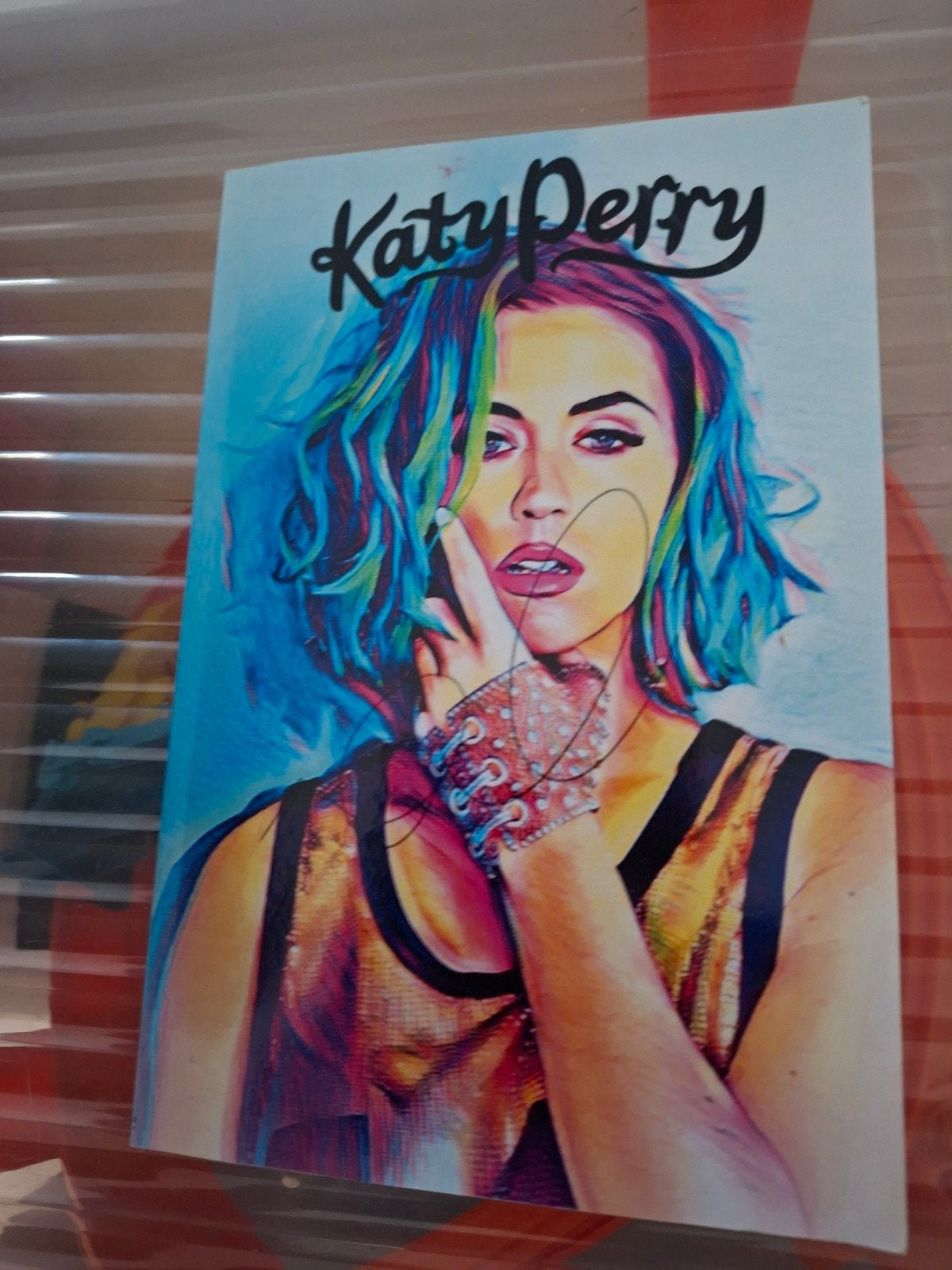katy perry notebook, Ophalen, Gebruikt