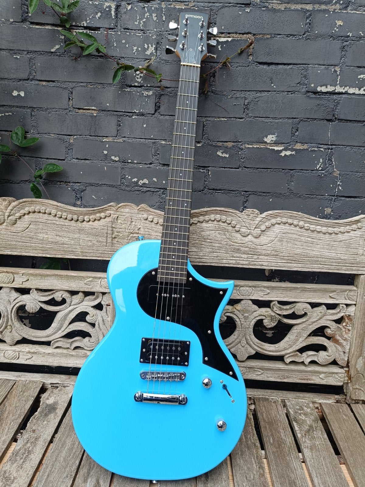 Blue Paul, Ophalen of Verzenden, Gebruikt, Solid body, Overige merken