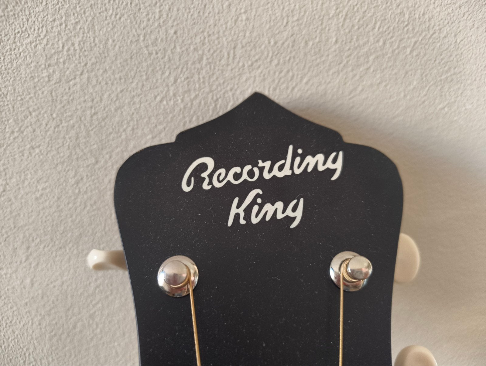 Recording King semi-akoestische gitaar, Ophalen, Zo goed als nieuw, Western- of Steelstringgitaar, Met (piezo-)element