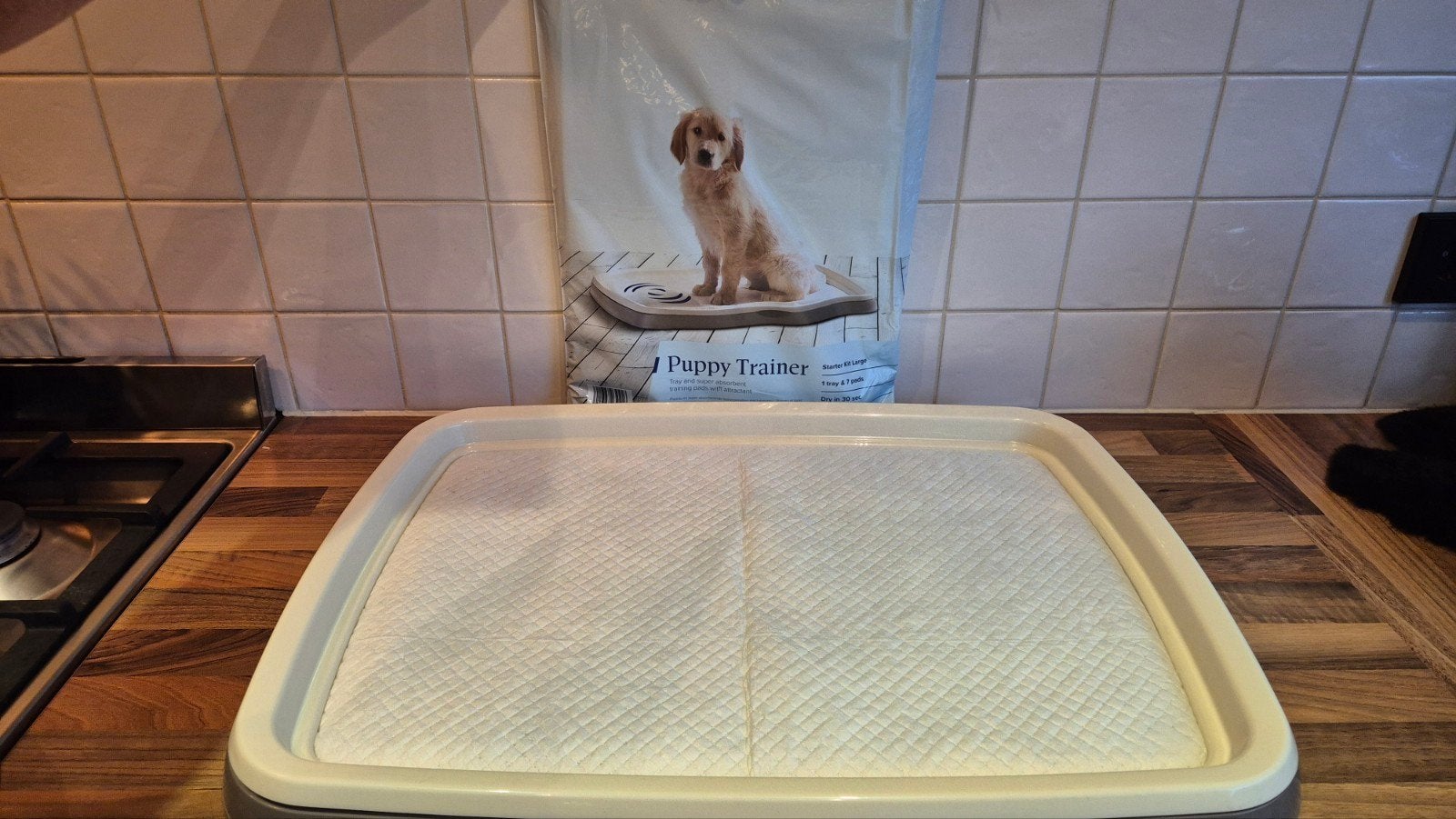 plasmat puppy trainer NIEUW, Ophalen of Verzenden, Nieuw