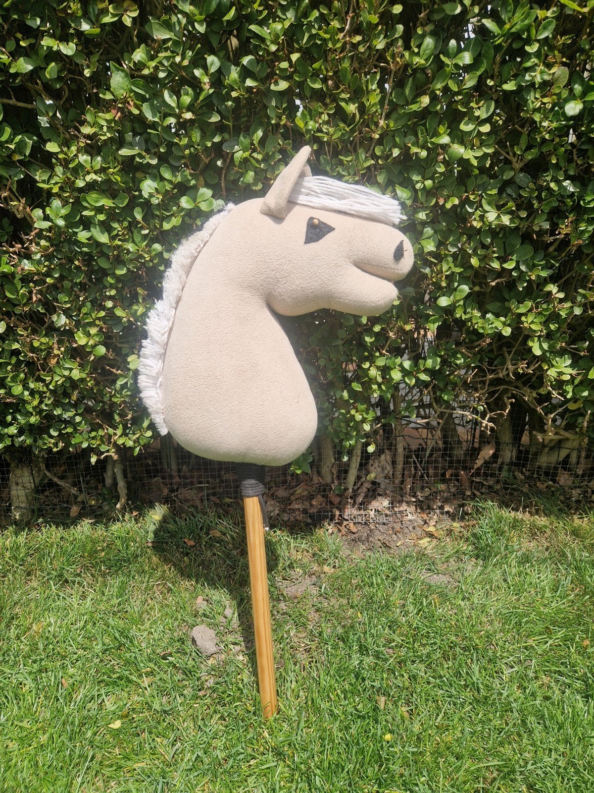 Fjord Hobby horse, Ophalen of Verzenden, Zo goed als nieuw