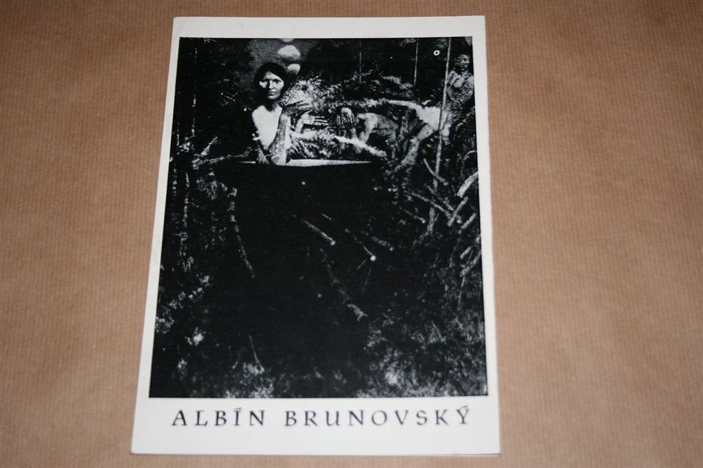 Albin Brunovsky — Grafica — 1983, Ophalen of Verzenden, Gelezen