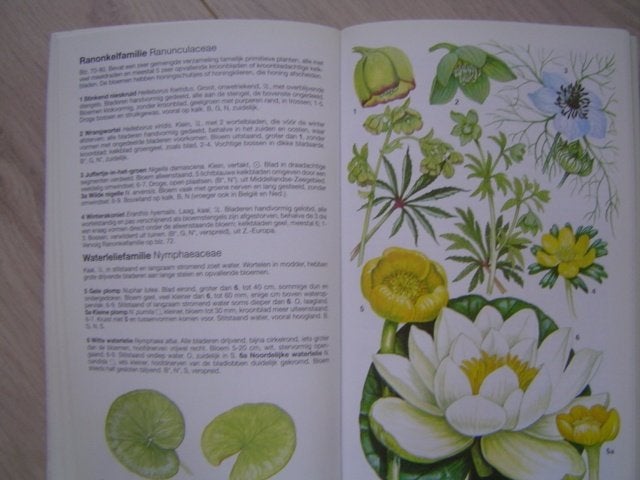 Bloemengids  Wilde Flora, Boeken, Verzenden, Gelezen, Bloemen, Planten en Bomen