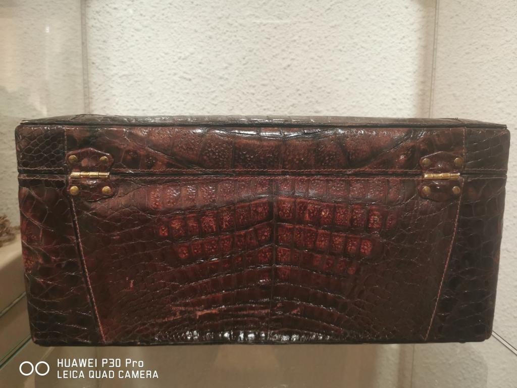 Vintage alligator Leder beautycase, Ophalen of Verzenden, Gebruikt, Bruin