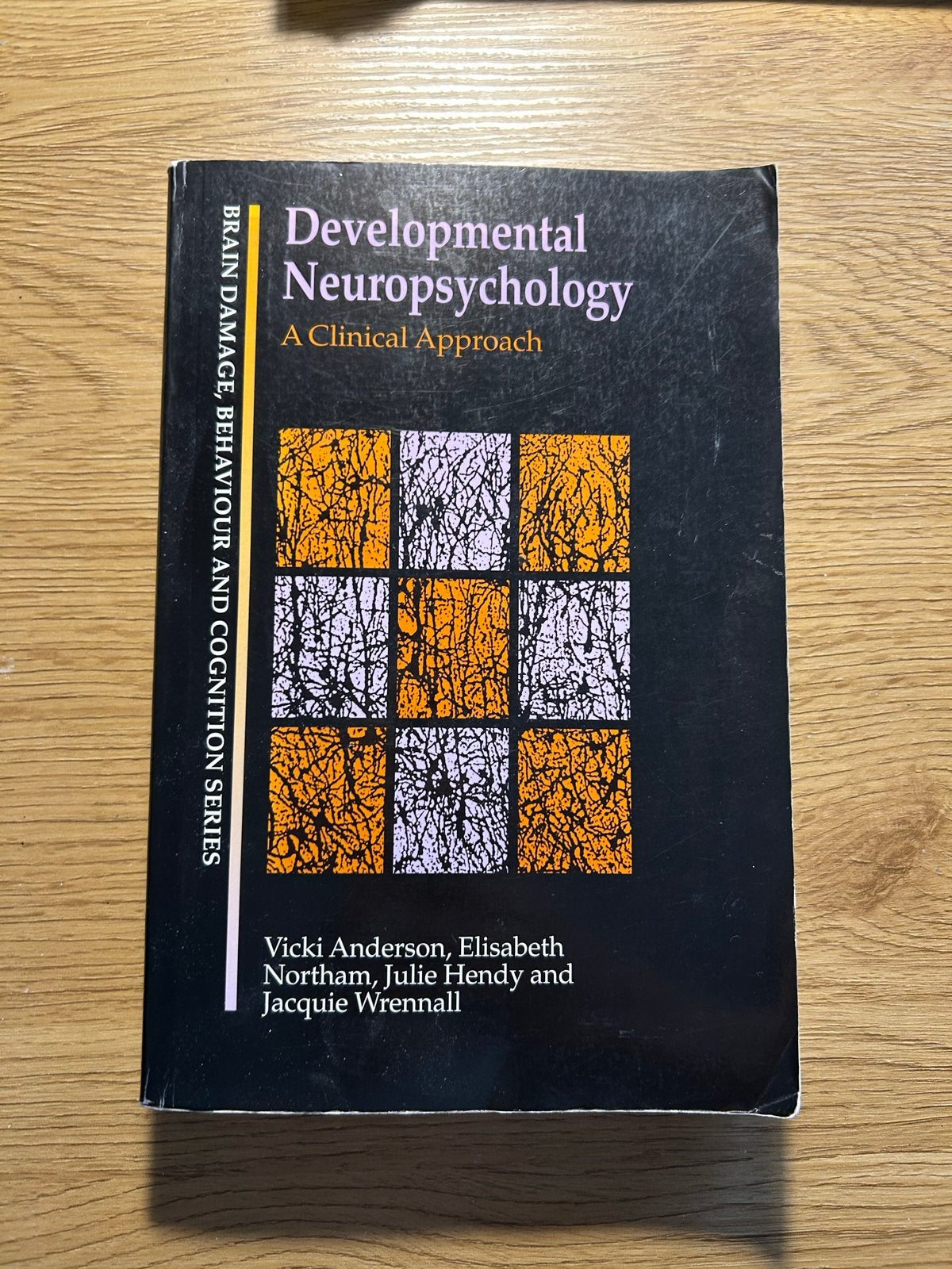 Developmental Neuropsychology - A Clinical Approach, Boeken, Ophalen of Verzenden, Gamma, Gelezen, WO