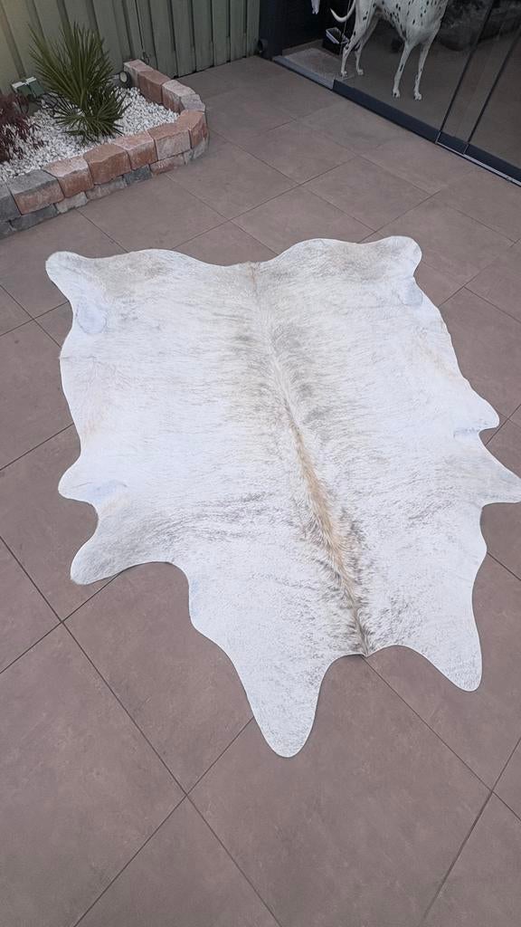 nieuwe  Koeienhuid - Unieke Grijze Kleur, 100 tot 150 cm, Nieuw, Ophalen of Verzenden, 150 tot 200 cm