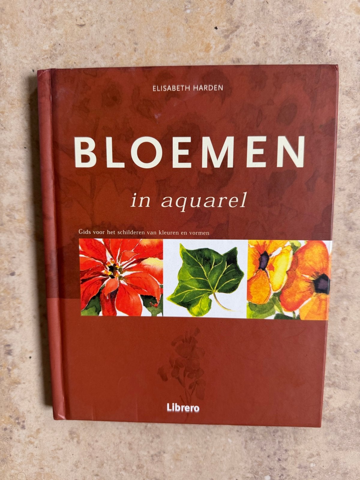 5x Boeken over schilderen: aquarel, olieverf, landschap, Ophalen of Verzenden, Gebruikt, Overige typen