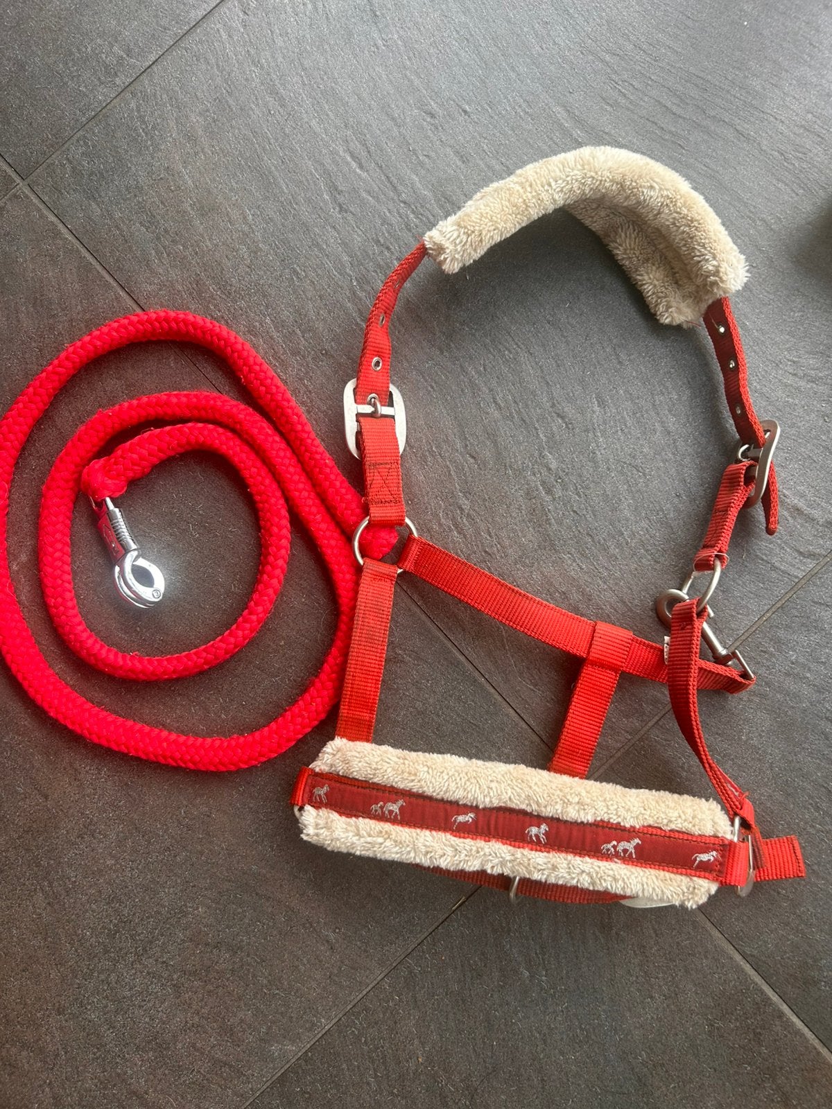Halster met halstertouw, Ophalen of Verzenden, Gebruikt
