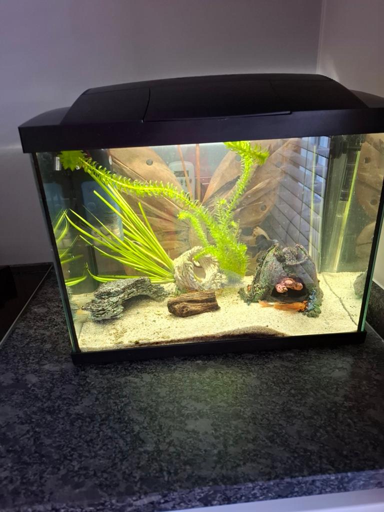 Juwel aquarium 40 liter in nieuwstaat, Dieren en Toebehoren, Vissen | Aquaria en Toebehoren, Ophalen, Verlichting of Verwarming