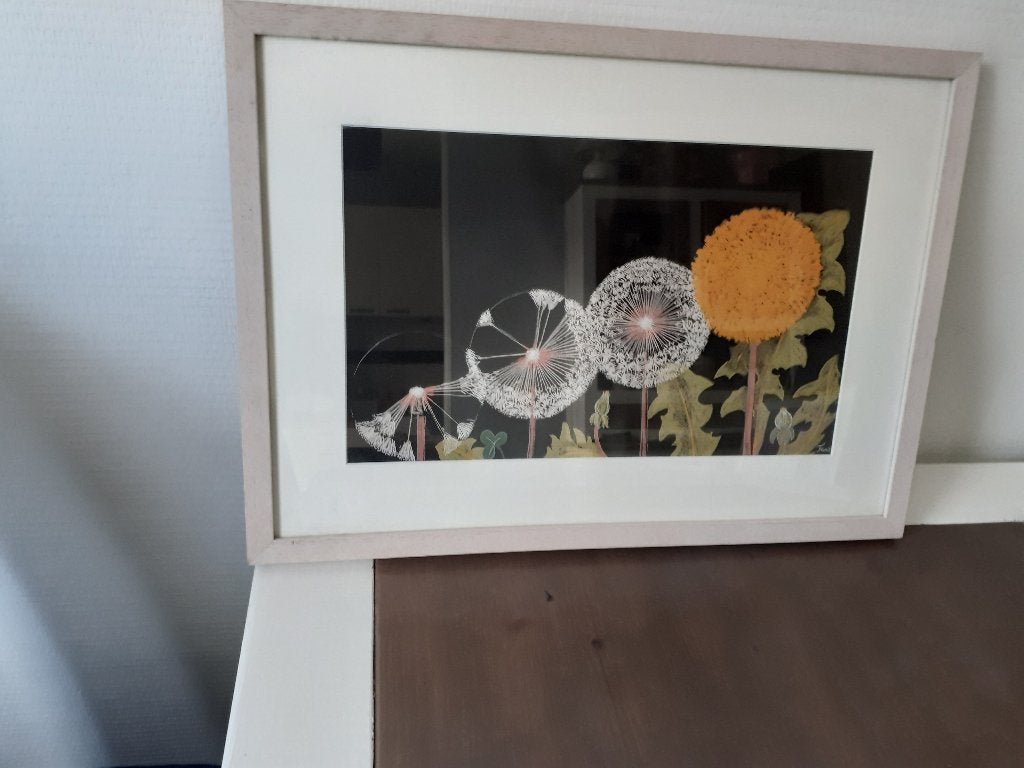 ingelijste poster, Ophalen, Zo goed als nieuw, A1 t/m A3, Dier of Natuur