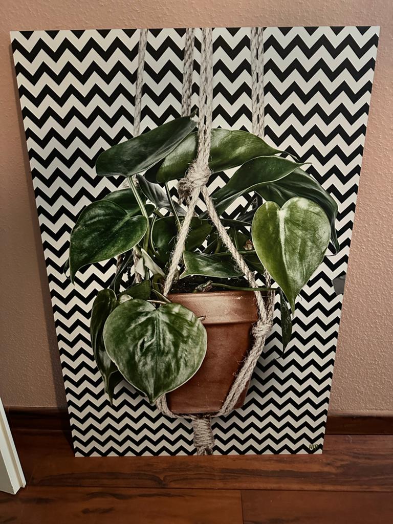 Wanddecoratie plant in macramé hanger op staal 80x120cm, Ophalen, Metaal, Groen, Zo goed als nieuw