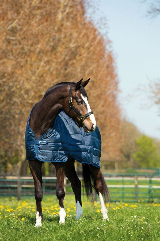 Horseware liner 300g blauw 213, Ophalen, 300 g, Nieuw, Extra Full (XL)