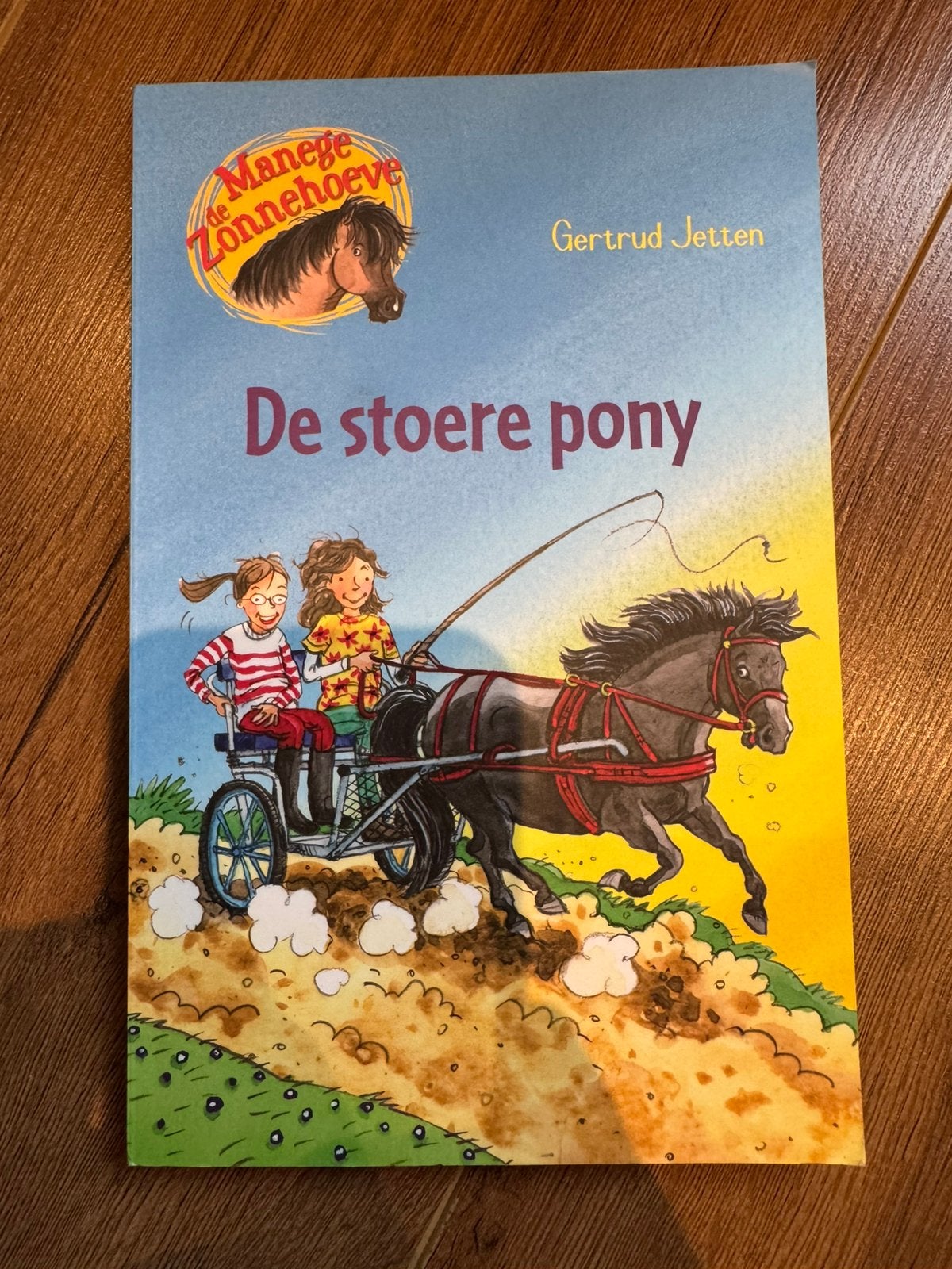 De stoere pony - Getrud Jetten, Ophalen of Verzenden, Zo goed als nieuw