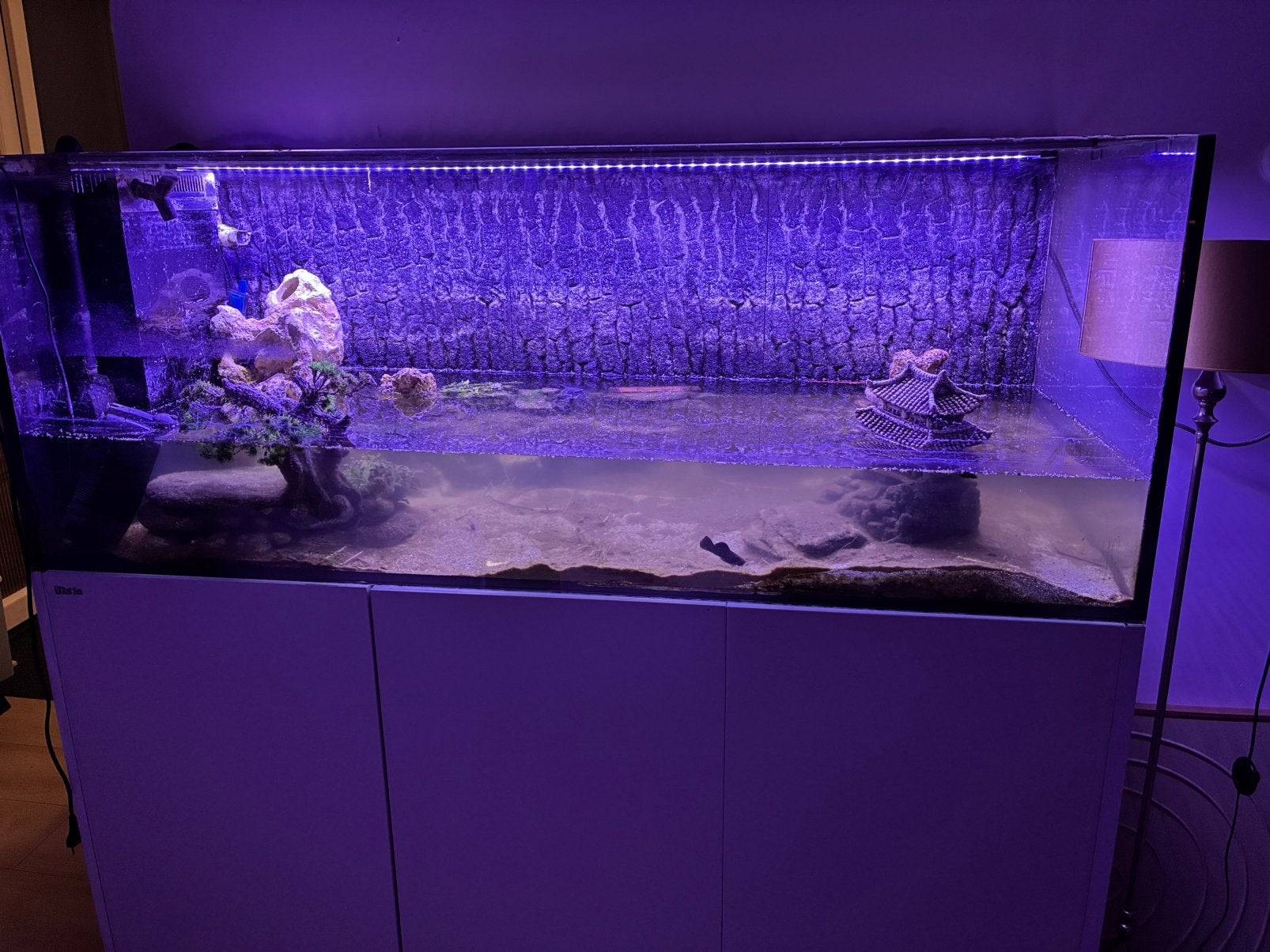 Red sea reefer 650, Ophalen, Red Sea, Inclusief planten, Zo goed als nieuw