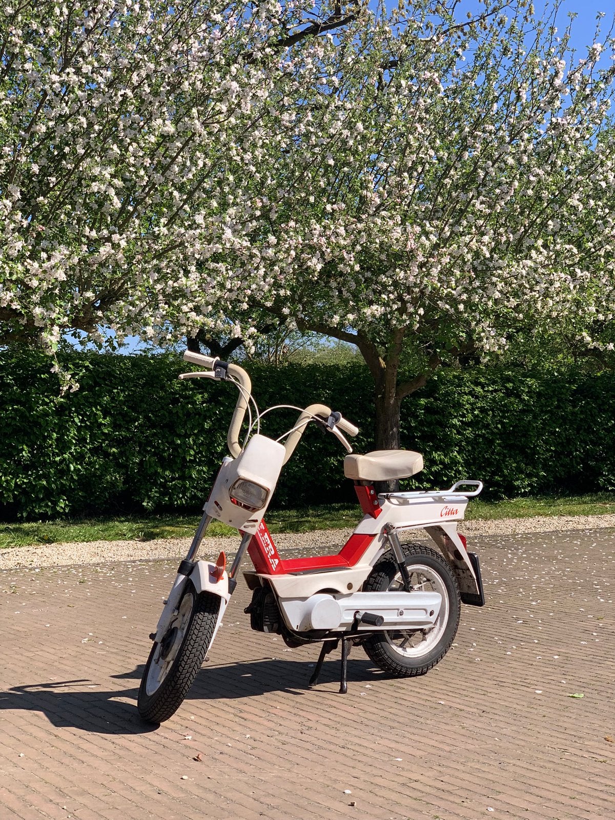 Gilera citta, Maximaal 45 km/u, 50 cc, Ophalen, Overige merken