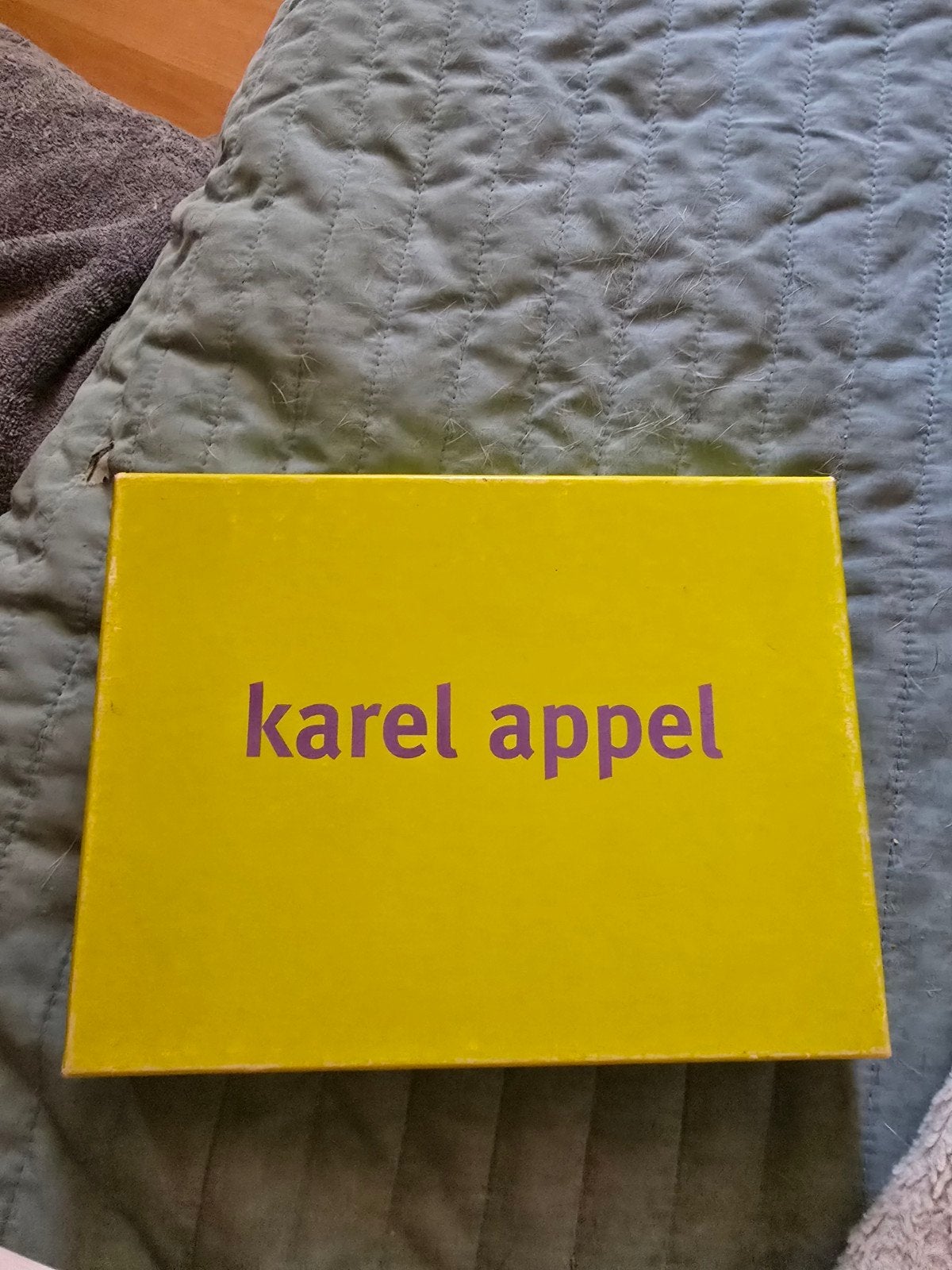 Karel Appel kaarten, Boeken, Ophalen of Verzenden, Zo goed als nieuw