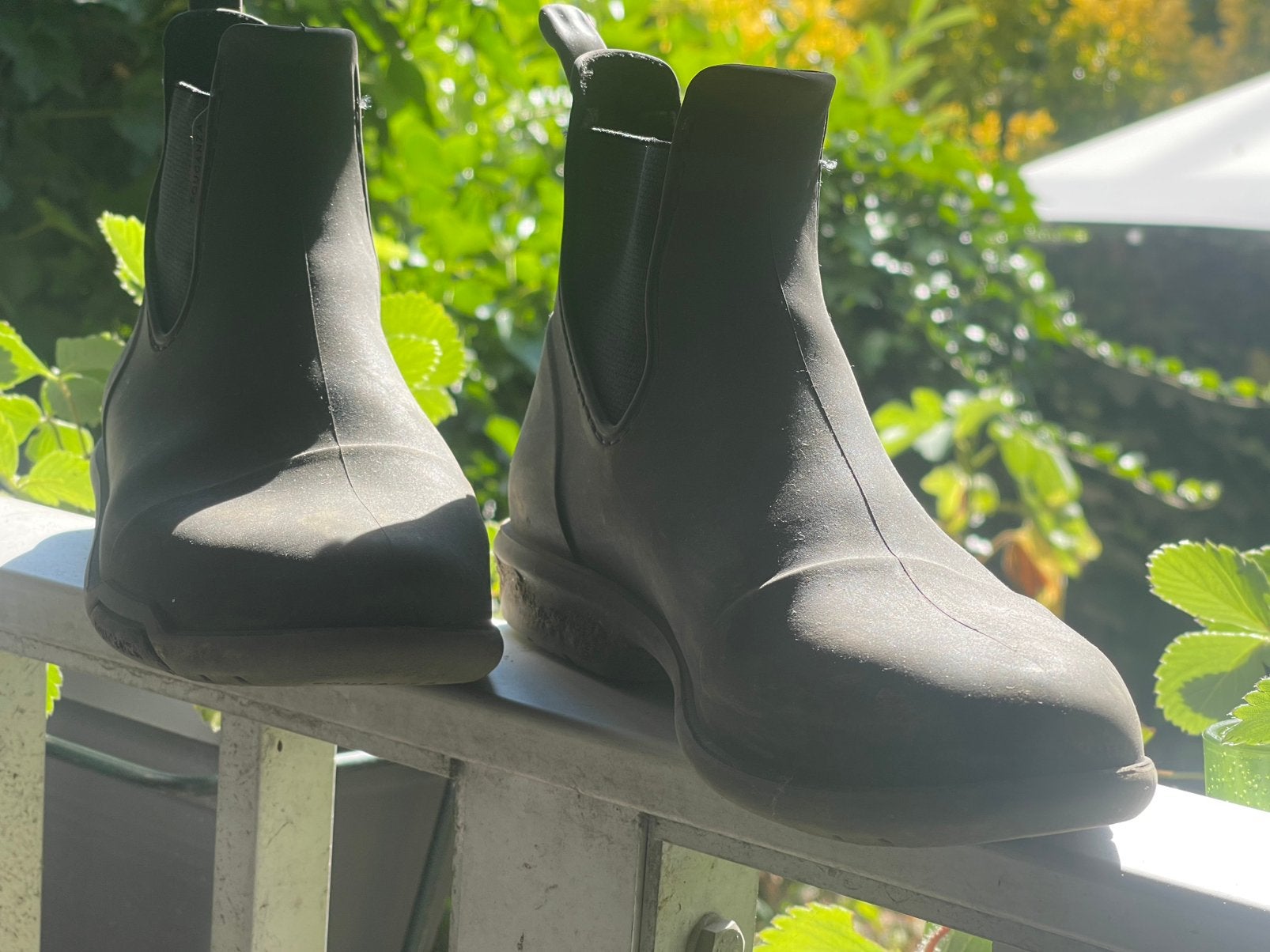 Paardrijschoenen zwart mt 34, Ophalen, Zo goed als nieuw, Dressuur, Schoeisel