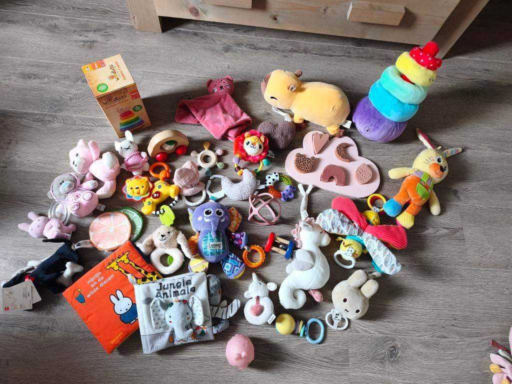 Grote verzameling speelgoed baby, Ophalen of Verzenden, Zo goed als nieuw, Overige typen