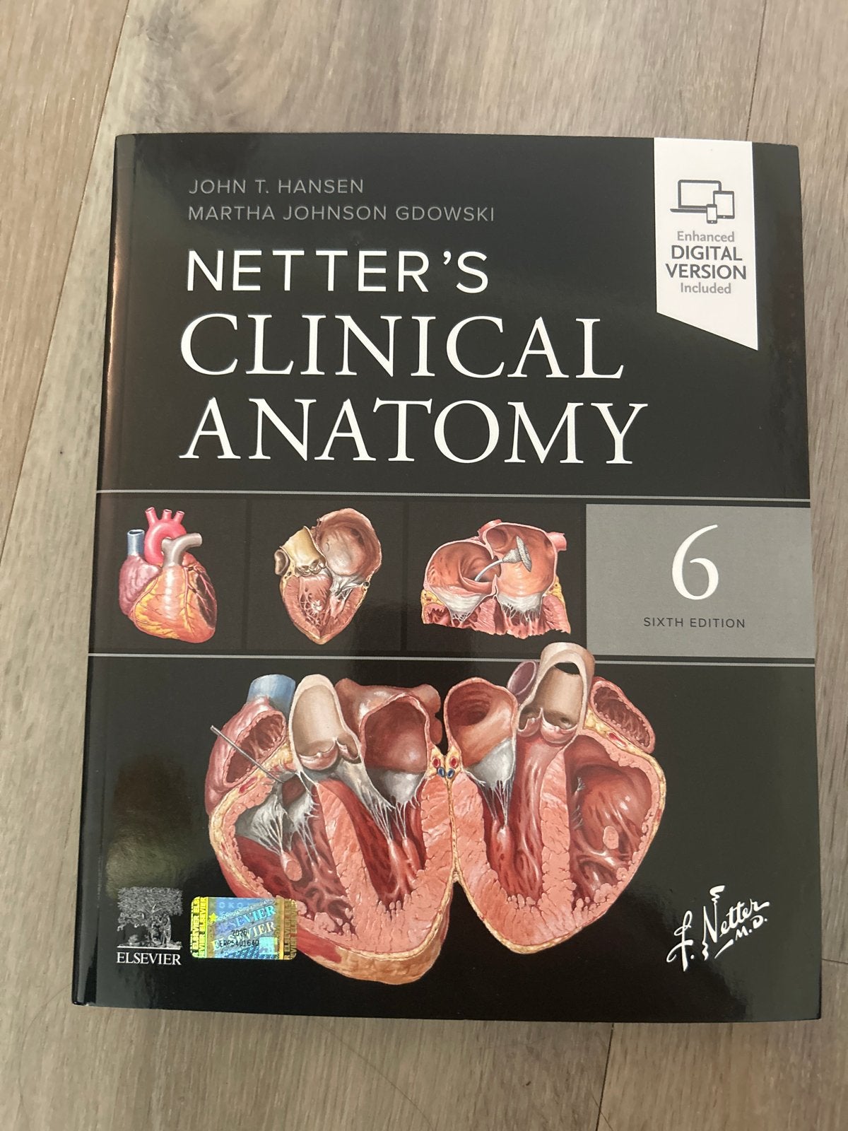 Netter's Clinical Anatomy 6e - Anatomieboek, Ophalen of Verzenden, Beta, Zo goed als nieuw, WO