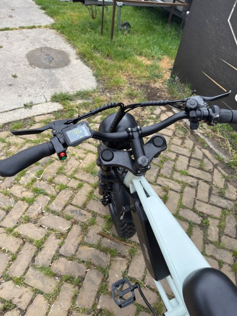 Fatbike cruiser 250w 25kmpu met gashandel nieuw, Ophalen, ., ., Schijfrem