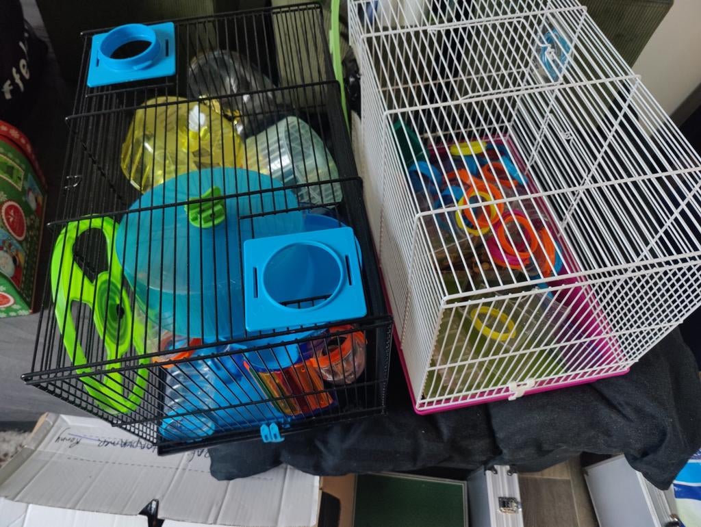 2 hamsterkooien met accessoires, Dieren en Toebehoren, Kooi, Minder dan 75 cm, Hamster, Ophalen