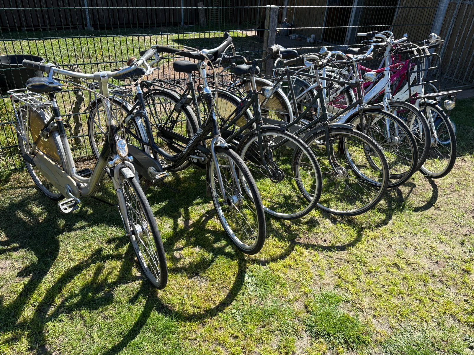 Te koop partij van 12 fietsen herenfietsen en damesfietsen, Ophalen, Zo goed als nieuw, Batavus