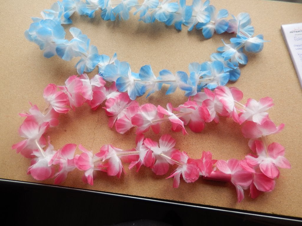 Diverse carnavalspullen (zgan), Hobby en Vrije tijd, Feestartikelen, Ophalen of Verzenden, Zo goed als nieuw, Versiering, Carnaval
