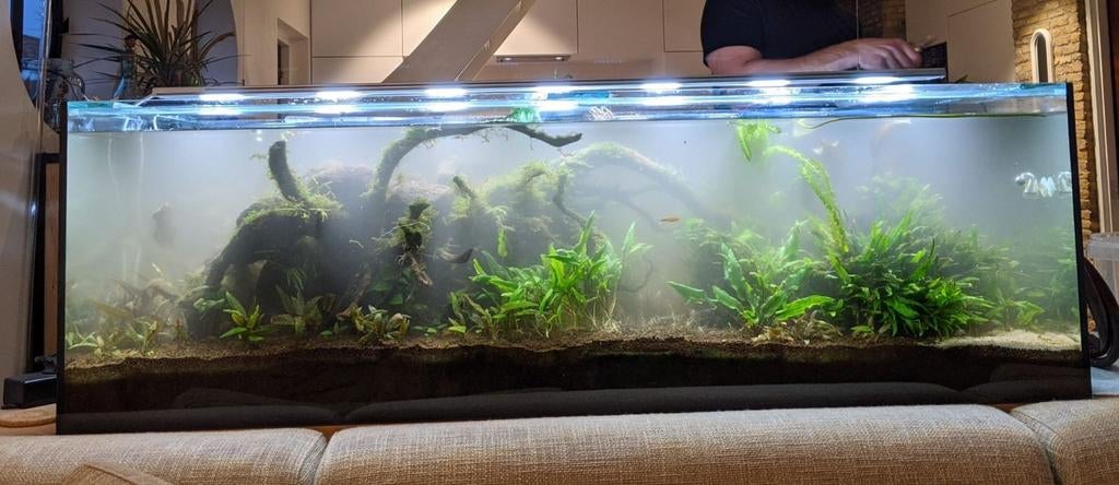 Aquarium🫧, volglas, 160x59x50cm, 10mm dik glas, Ophalen, Gebruikt, Overige merken, Verwarming