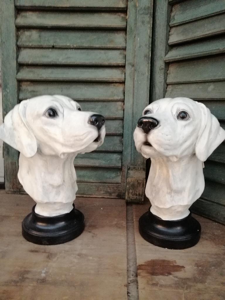Mooie grote hondenkop van resin, op sokkel, Buste, Ophalen of Verzenden, Zoogdier, 20 - 50 cm