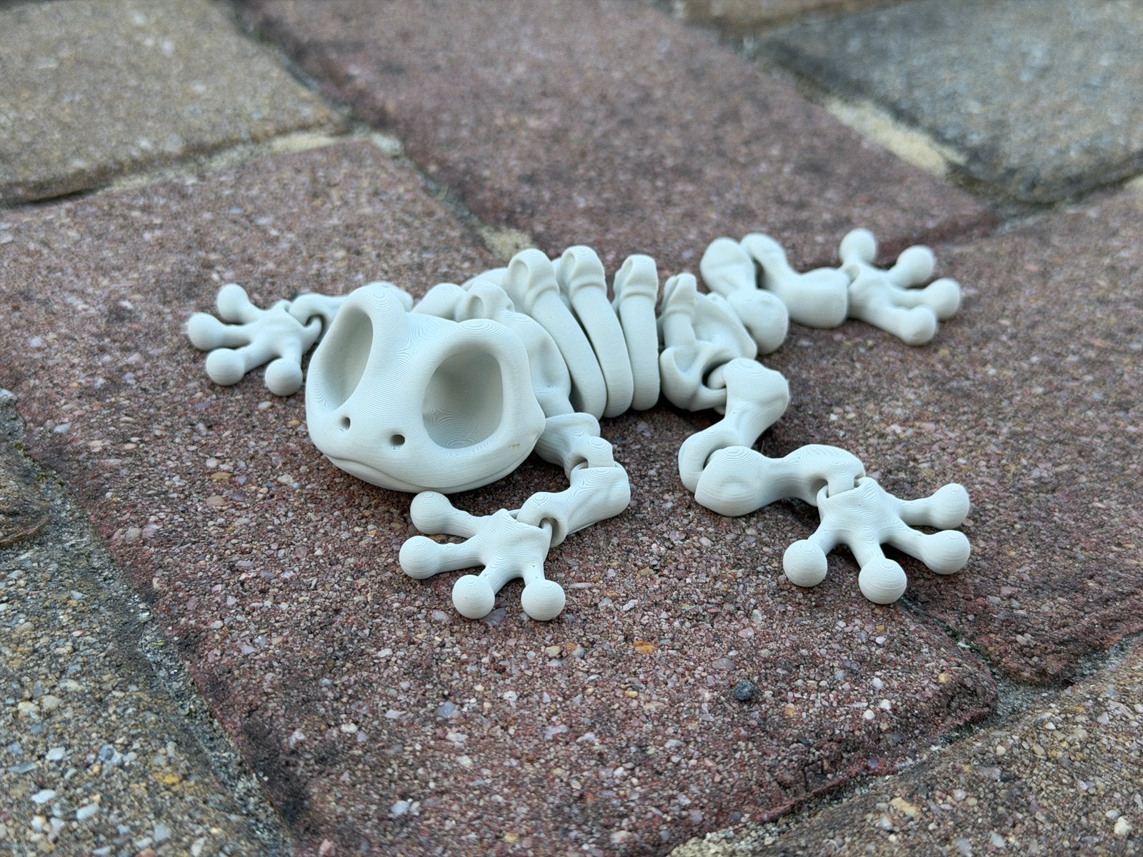 3D-geprinte Skelet Kikker – decoratie., Ophalen of Verzenden, Zo goed als nieuw, Staal