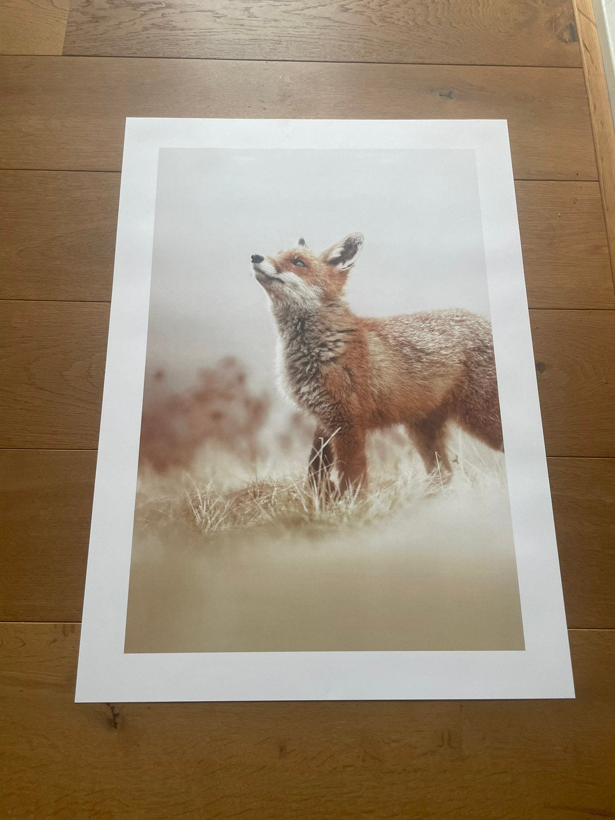 Fossen poster, Ophalen of Verzenden, Zo goed als nieuw, A1 t/m A3, Dier of Natuur