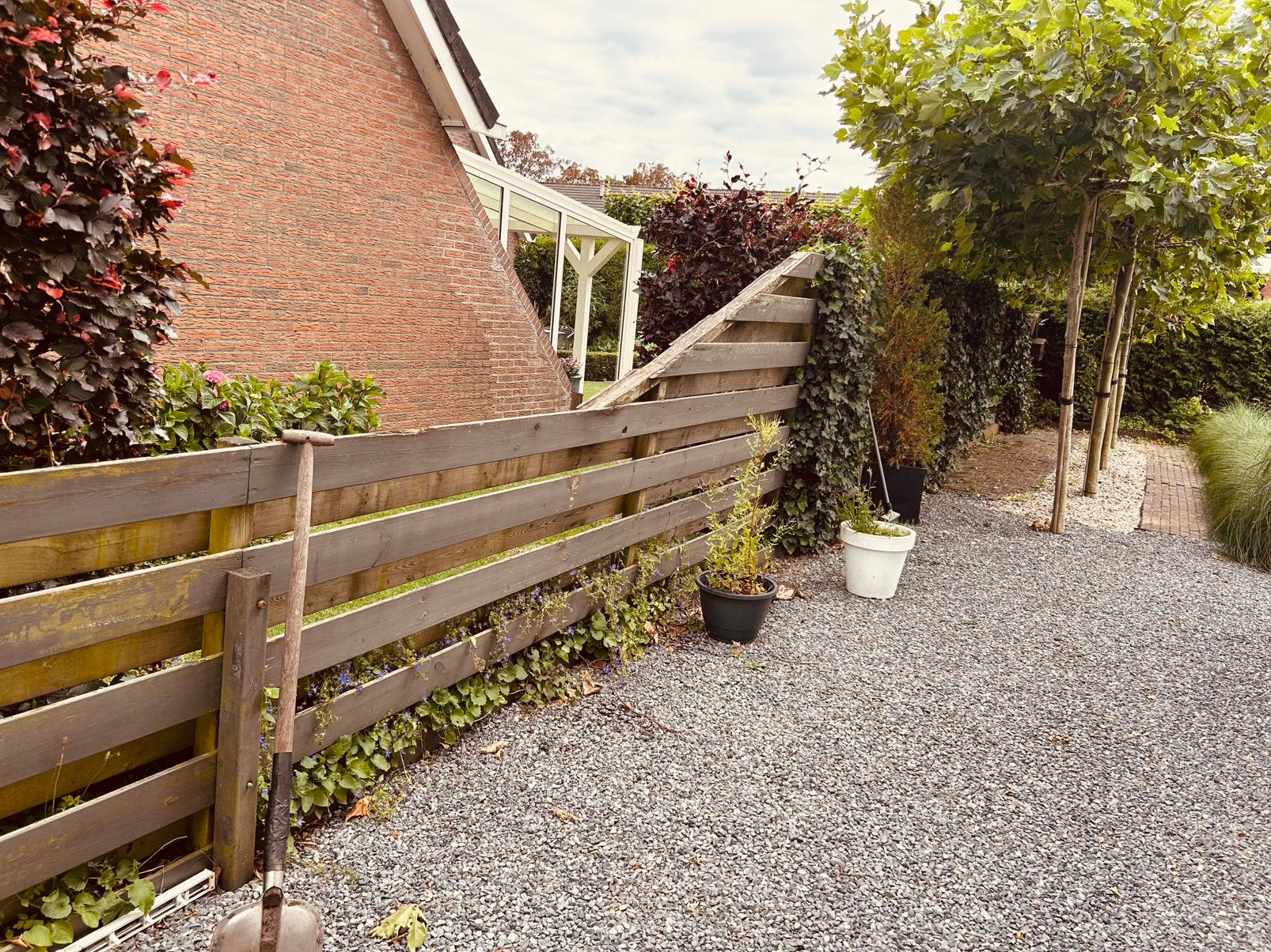 Schutting, Ophalen of Verzenden, Gebruikt, Hout, Tuinhek