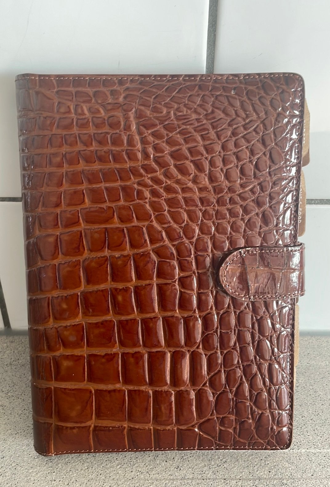Prachtige lederen organiser GHIBLI Italy crocodile print, Ophalen of Verzenden, Zo goed als nieuw