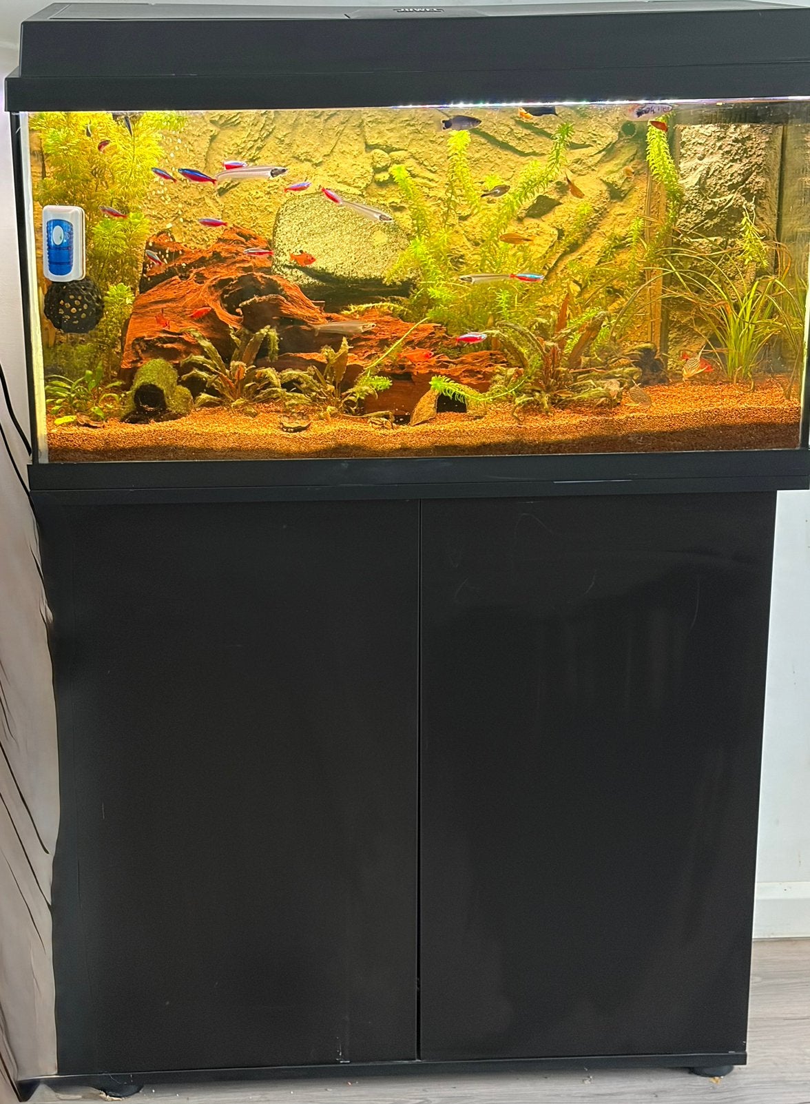 juwel aquarium 125 l  met onderkast, Dieren en Toebehoren, Ophalen, Gevuld zoetwateraquarium