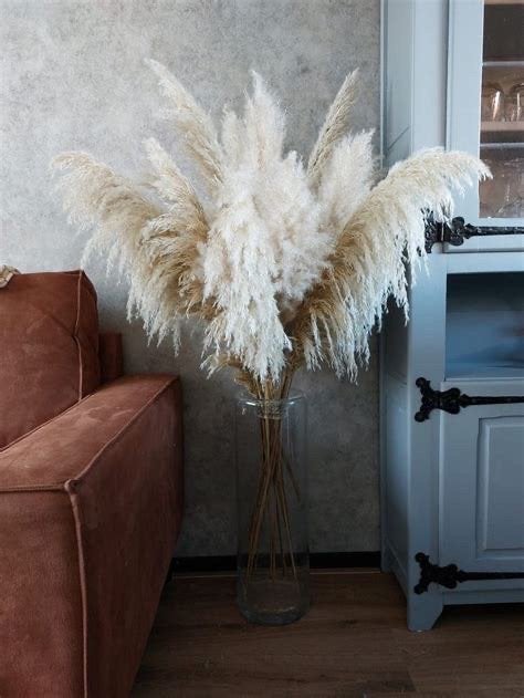 Grote partij fluffy pampas pluimen, Ophalen of Verzenden, Nieuw