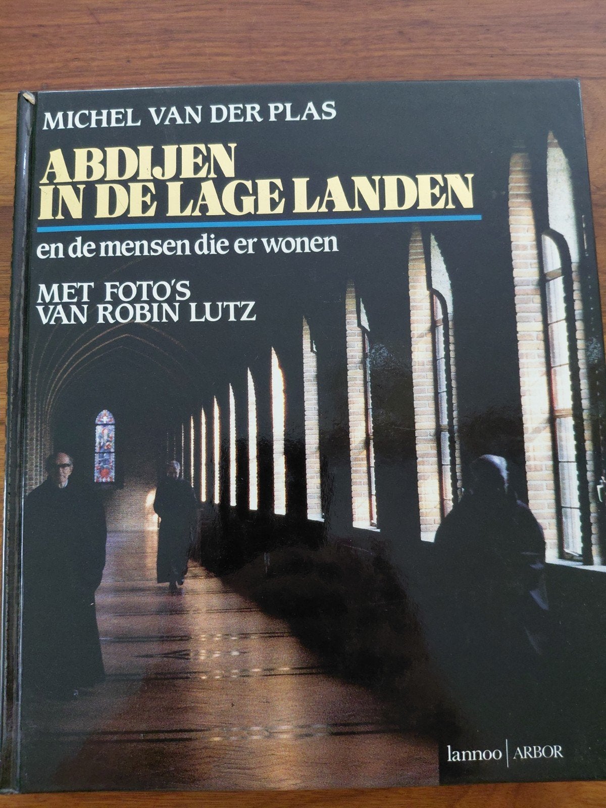 Abdijen in de lagelanden, Ophalen of Verzenden, Gelezen