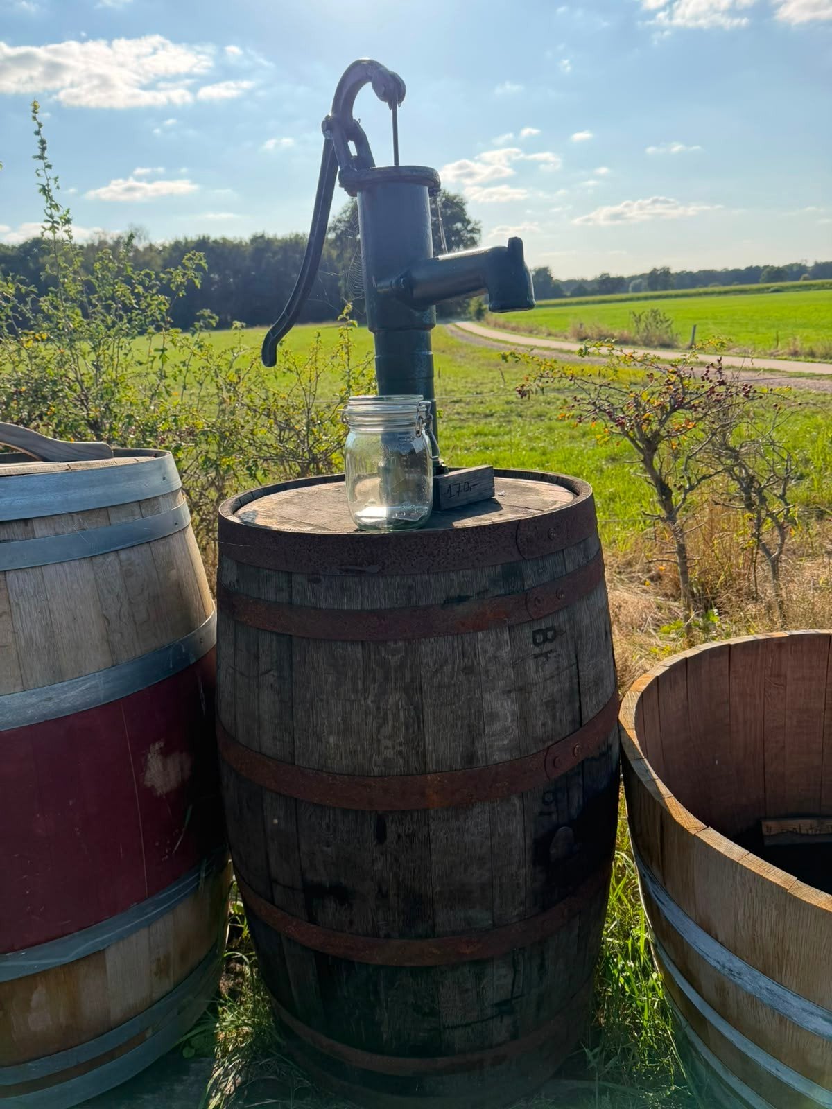 Decoratieve whiskeyvat met werkende gietijzeren pomp, Tuin en Terras, Waterpompen, Ophalen, Gebruikt, Handmatig, Overige typen