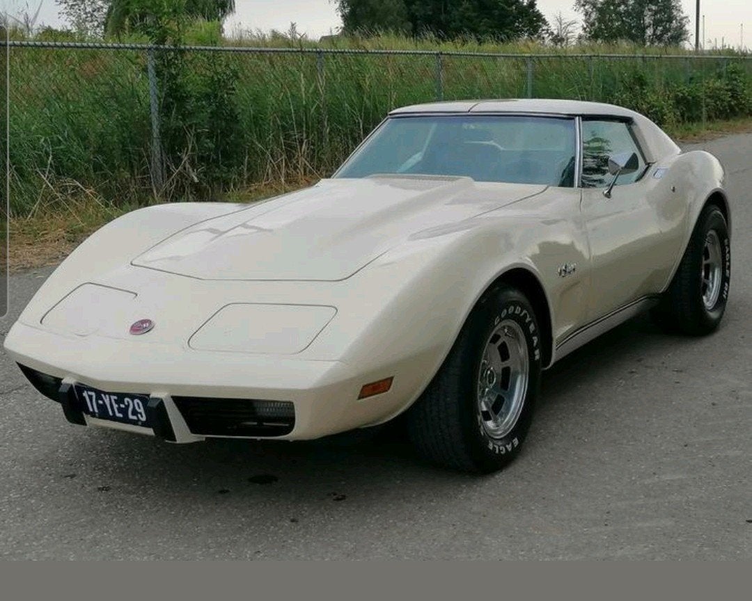Chevrolet Corvette Stingray C3, 1975, Targa, foto 2