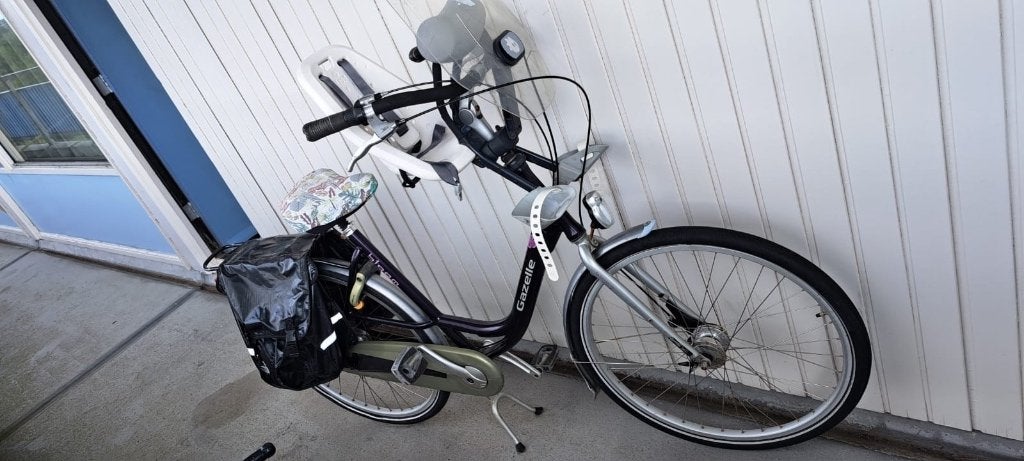 Moederfiets, Ophalen, Versnellingen, Schijfrem, Gazelle