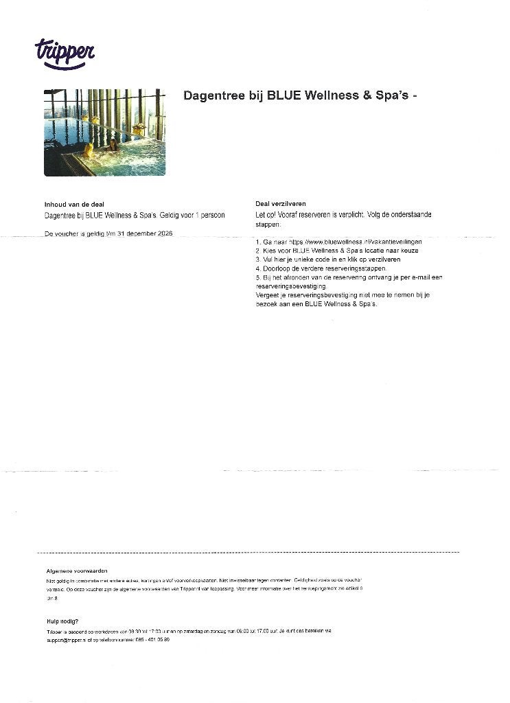 2 Tickets Blue Wellness & Spa's, Ophalen of Verzenden, Nieuw, Overige typen