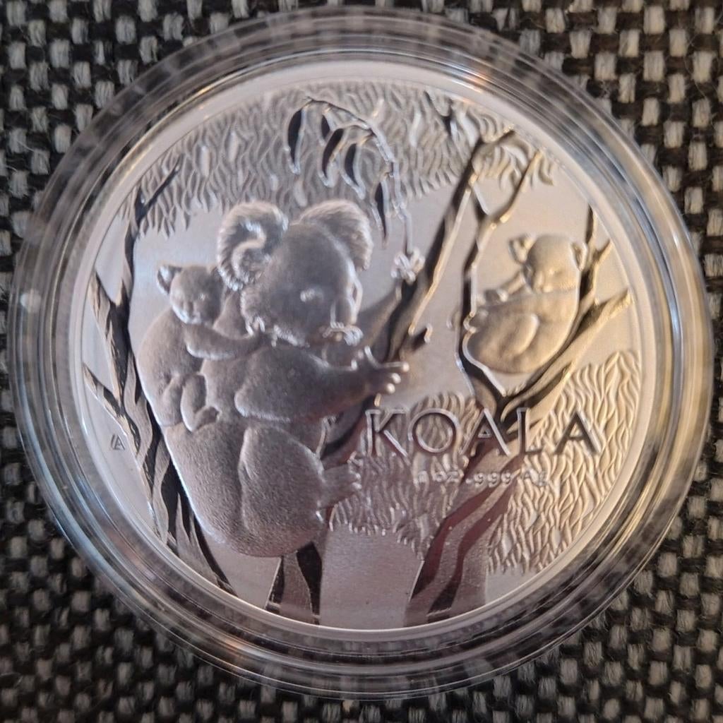 Koala 2026 1 Oz zilveren munt 1 Dollar, Postzegels en Munten, Munten | Oceanië, Ophalen of Verzenden, Zilver