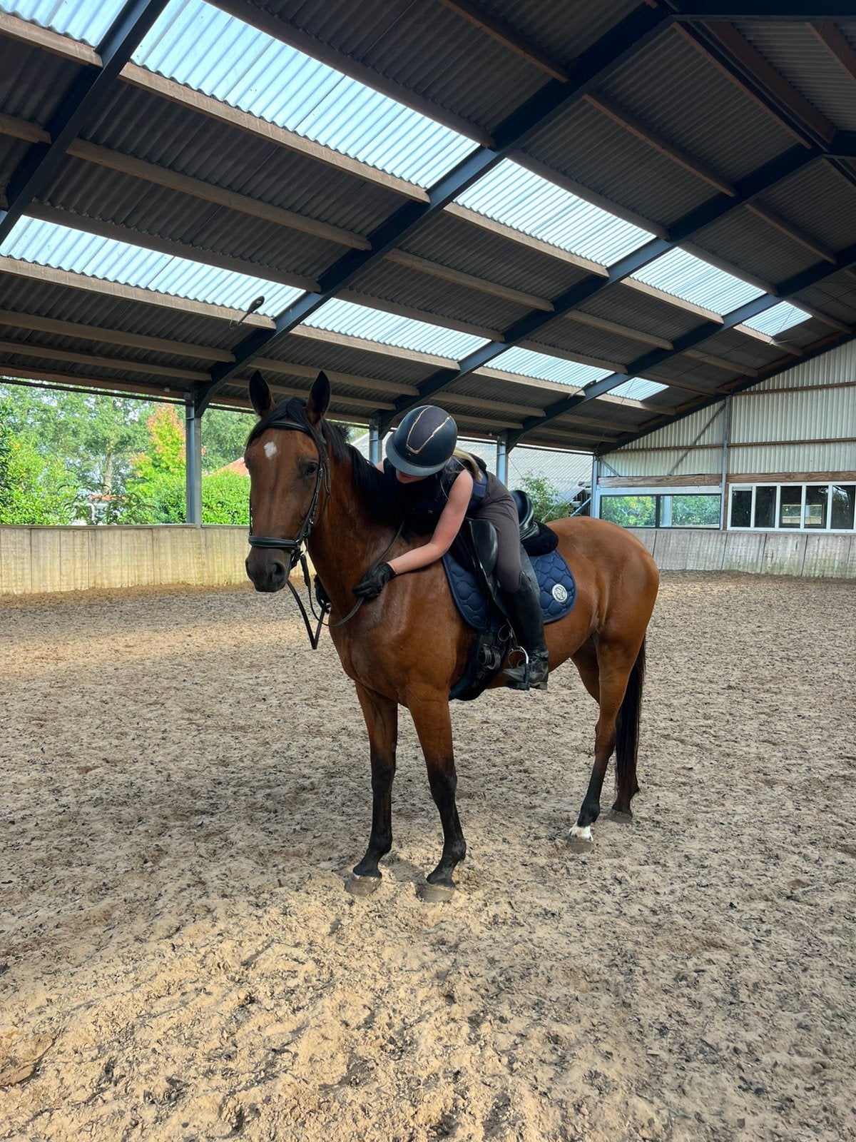 Talentvolle 3,5 jarige merrie, Dieren en Toebehoren, Merrie, Met stamboom, Dressuurpaard, Zadelmak
